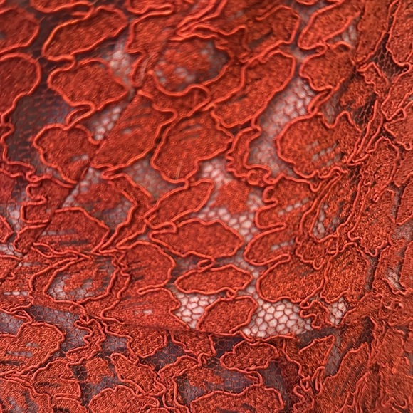 Anthropologie Moulinette Soeurs Asymmetrical Brick Red Lace Skirt-Sz 8 - Picture 2 of 6